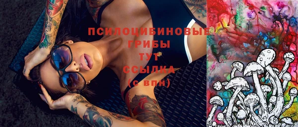 прущая мука Ельня