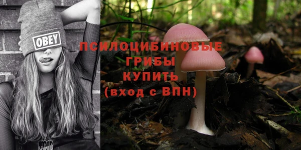 прущая мука Ельня