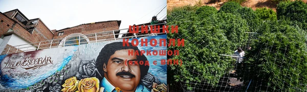 прущая мука Ельня