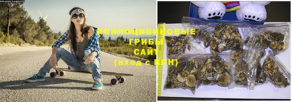 прущая мука Ельня